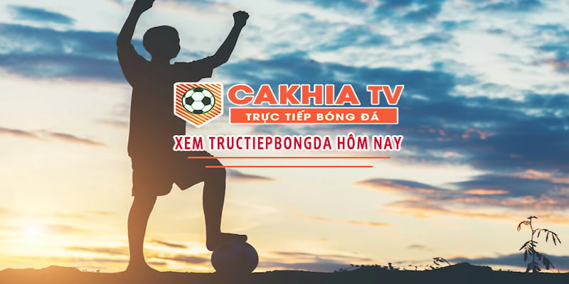 Cà khịa Các nội dung chủ đạo của Cà khịa TV