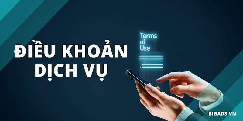 điều khoản dịch vụ Những mục cần đặc biệt lưu ý trong điều khoản dịch vụ