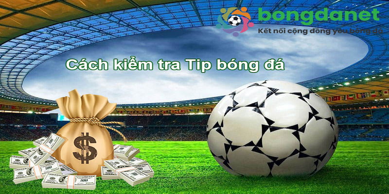 Bongdanet Vì sao bongdanet trở thành nguồn tham khảo phổ biến?